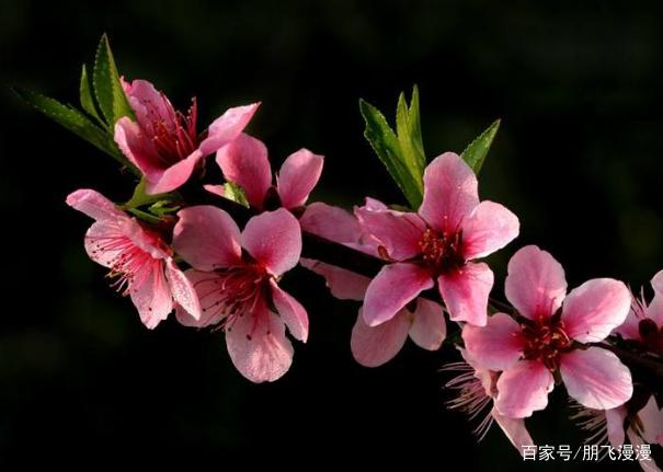 曼城迎国王杯关键赛，关键时刻完成体检，话题不断，资深球员宣示担当(ff145155主线任务列表)